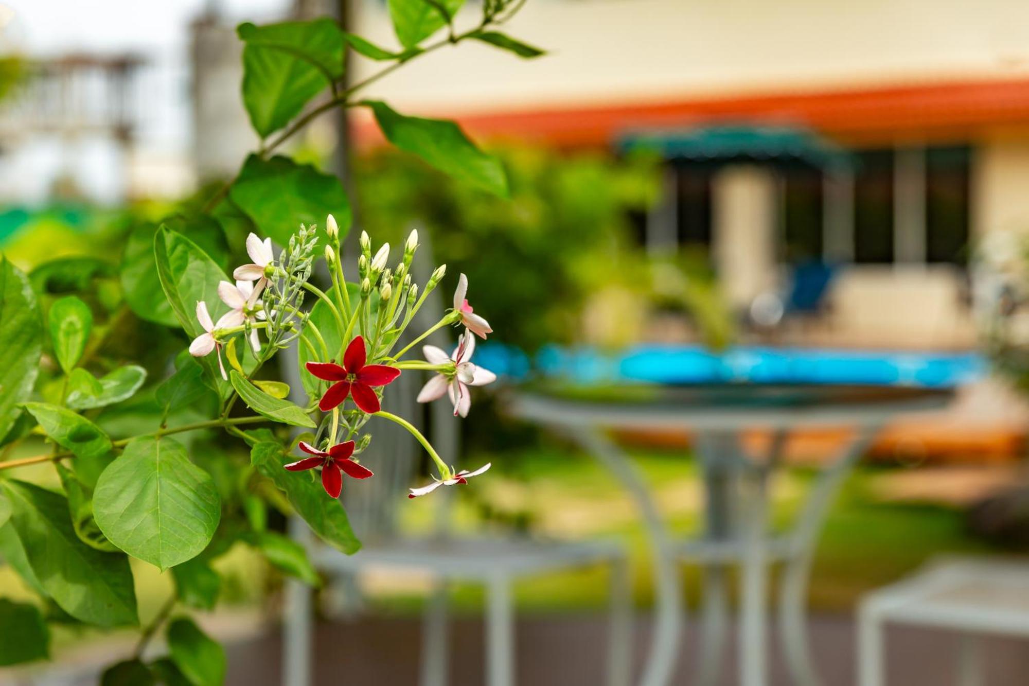 Casa Amora Lonavla Zewnętrze zdjęcie